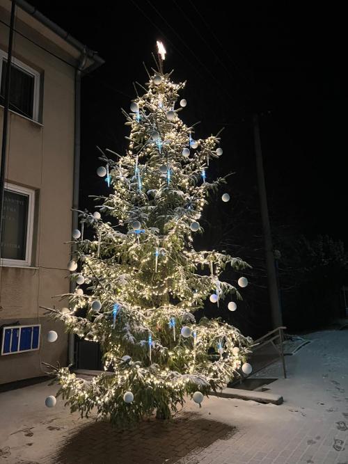 Rozsvícení vánočního stromu a příjezd Mikuláše