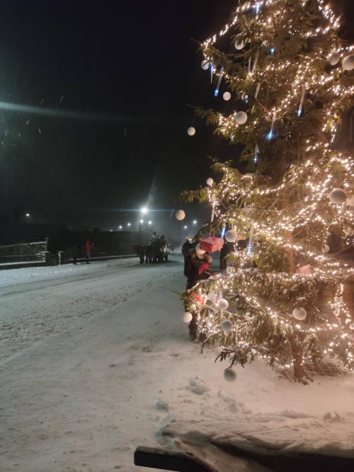Rozsvícení vánočního stromu a příjezd Mikuláše